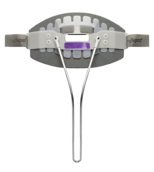 Picture of Aspen® CTO BACK PANEL, LARGE